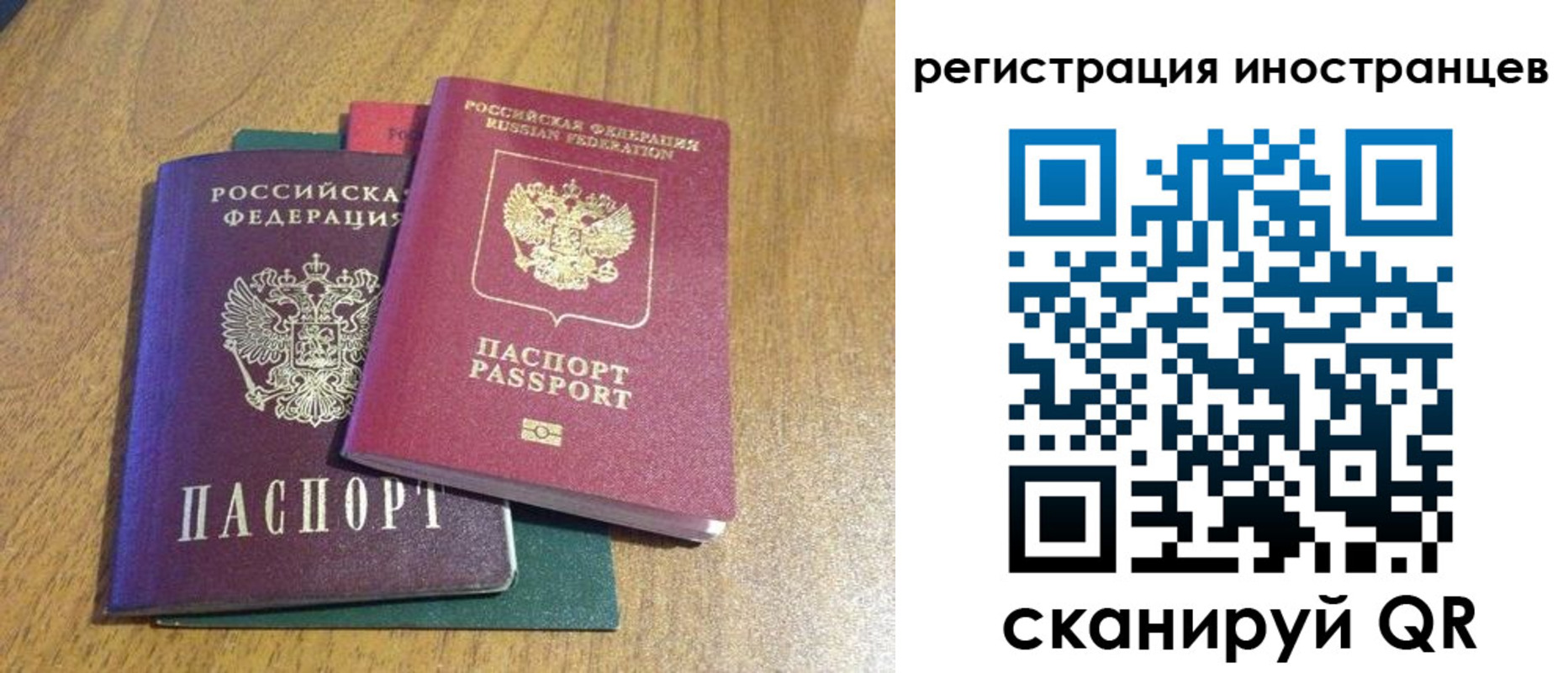 временная регистрация поиск в Куровском